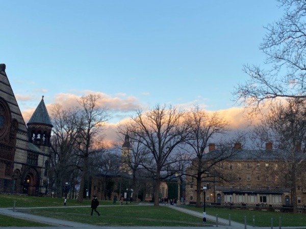 Trees in the wintertime with Alexander Hall and Morrison Hall in the background.