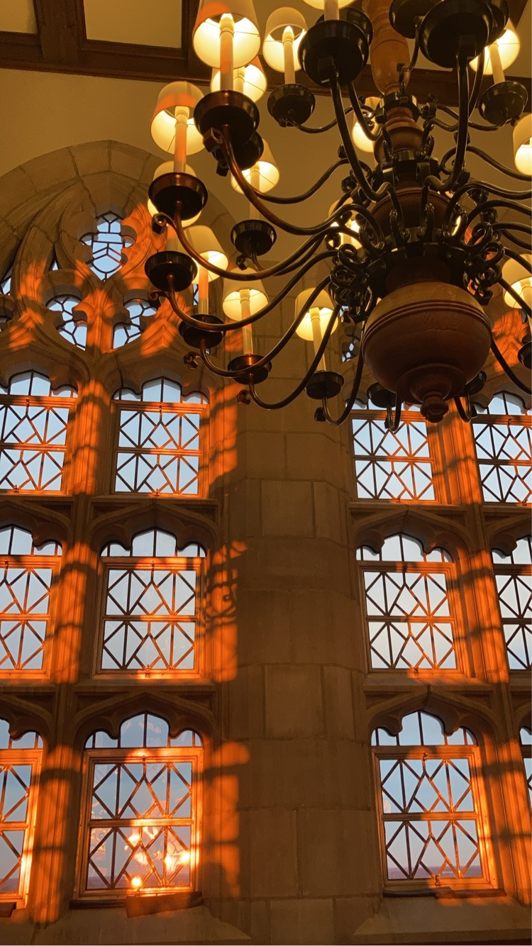 Sunset golden glows on a gothic window pane, with a chandelier in the top right corner of the photo