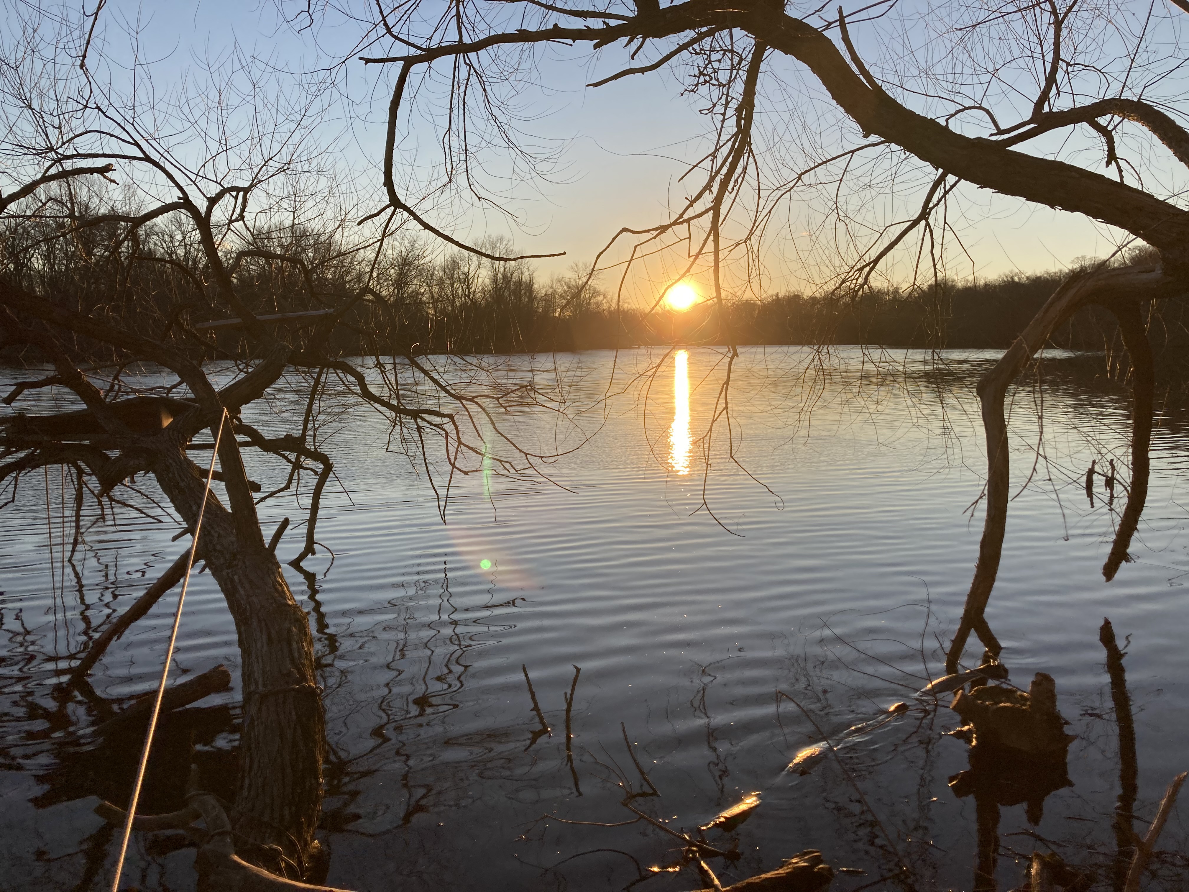 Lake Carnegie at sunset